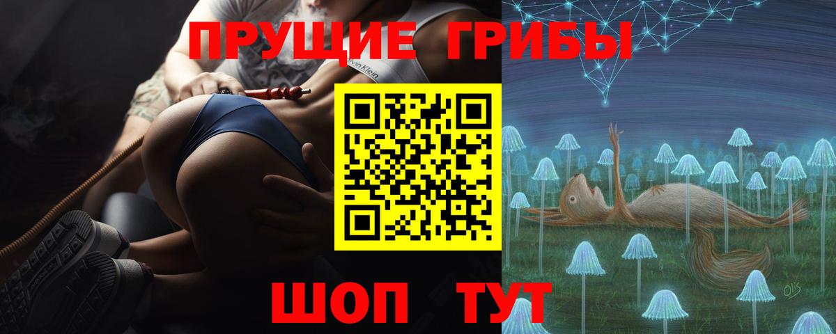 Псилоцибиновые грибы Cubensis Луга