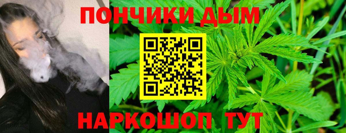 Бошки Шишки семена Луга
